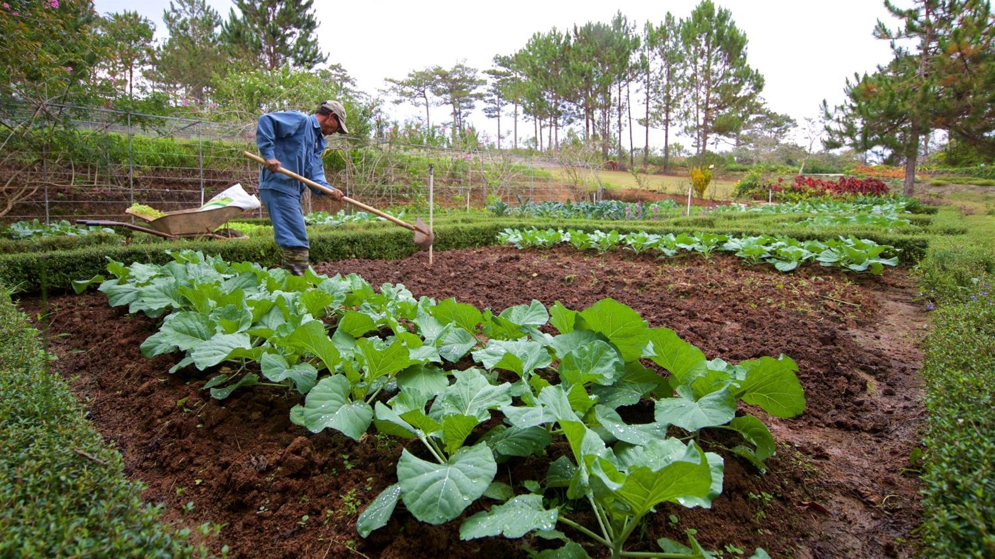 Binh An Village Resort Dalat Luaran gambar